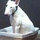 dave_levan