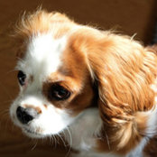 Jen W.'s photo