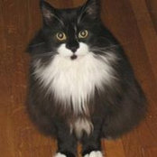 Terry Russo's photo