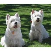 Lynn Sauer's photo