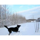 Amy Blue's photo