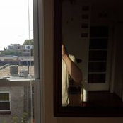 Aaron Berman's photo