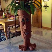 Susan Bergman's photo