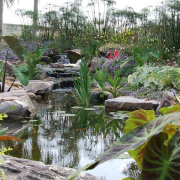 Ponds & Waterfalls