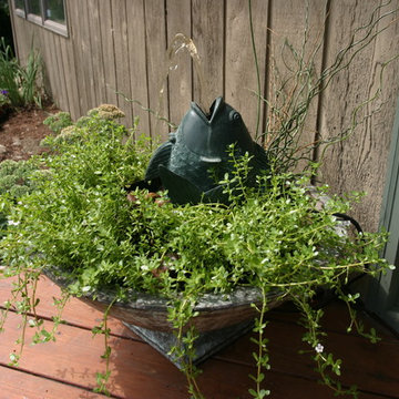 Container Water Gardens