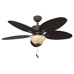 Traditional Ceiling Fans by Palm Coast Imports