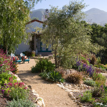 Back patio