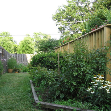 Backyard Landscape Design & Maintenance