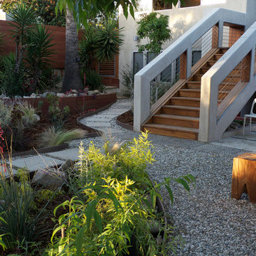 Korea Town Permaculture