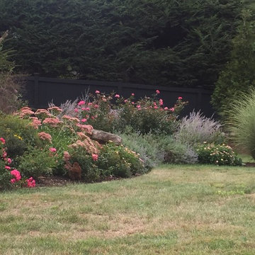 Eclectic Gardens