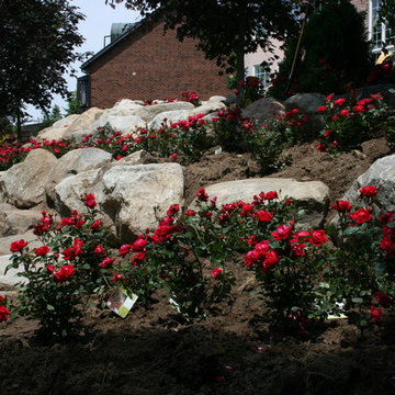 Brantford, Ontario Project