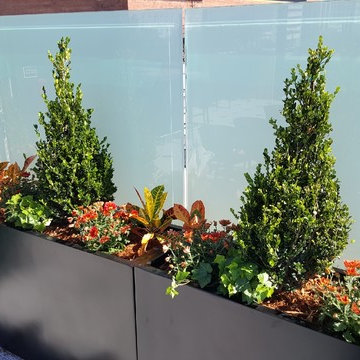 Our Latest Projects
