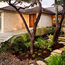 front landscape