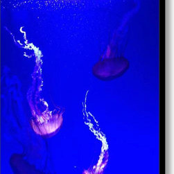 Jellyfish Wall Art - Photographs