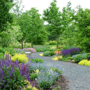 Deer Resistant Garden