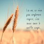 Sam Semer's photo