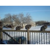 Michele Lukan's photo