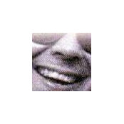 זאב ארדs foto