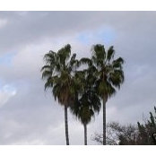 Christine Zurowski's photo
