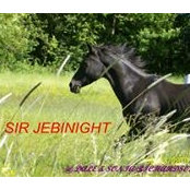Foto von Jean Schwab
