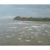 Carlos Piñeres's photo