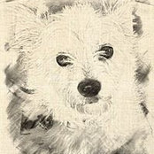 Lillian Kemps foto