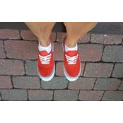 Maria Servedio's photo