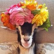 Beth Clausnitzer's photo