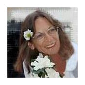 Denise Sedgwick's photo