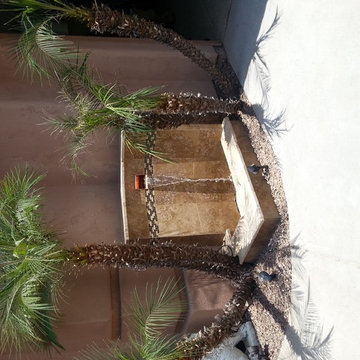 Singha Mesa AZ