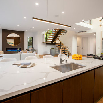 Modern Home | Mar Vista