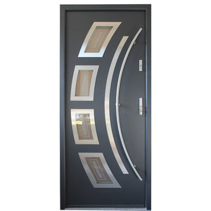 Stainless Steel Modern Exterior Door Gray Finish Contemporary