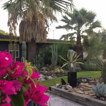 Miscellaneous Cacti & Succulent Landscapes by Rhinamic