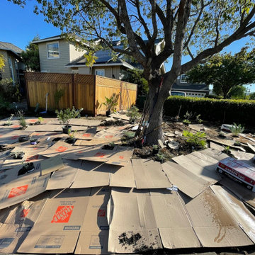 Lawn Coverage