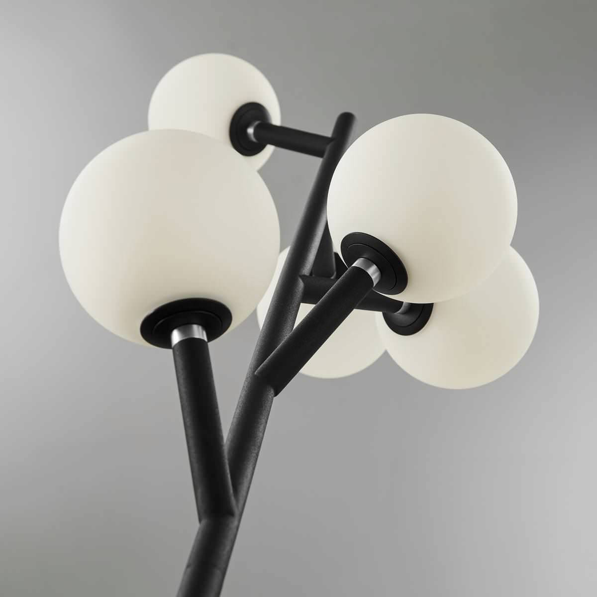 Blanca 5 Light Floor Lamp, Black - Contemporary - Floor Lamps - by ...