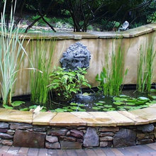 water feature