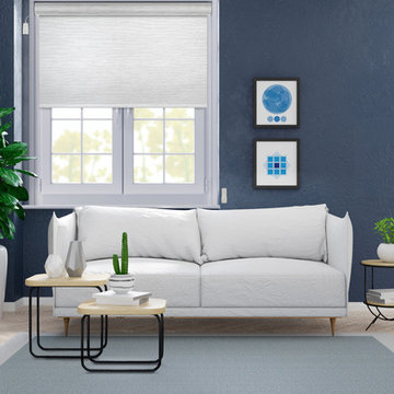 Motorized Roller Shades