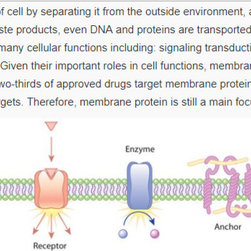 membrane proteins - Products