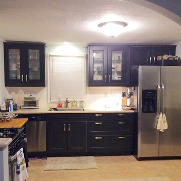 Traditional IKEA Kitchen Remodel in Denver