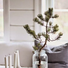 Xmas ideas