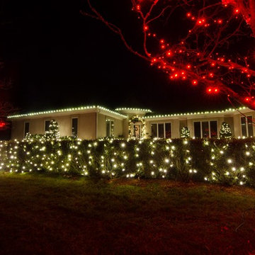 Nashville Holiday Outdoor Lighting