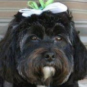 Wanda Trexler's photo
