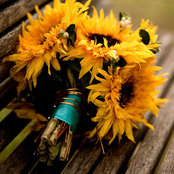 Yoanna Flores's photo