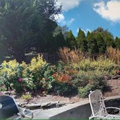 Dana Reeves's photo