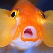Wendy Harn's photo