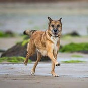 Katy Orton's photo
