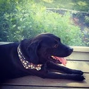 Heather Warner's photo