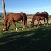 Sandra K Osterman's photo