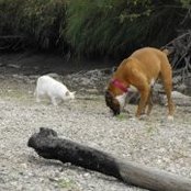 Judy Scott's photo