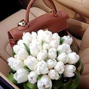 Elena Qujaidze's photo